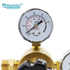 Separated Argon Welding Regulator with 30L/h Flow 315 Bar Max Inlet Pressure Gas Regulator