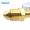 YP-N Nitrogen Regulator 3000 Max Inlet Pressure 600 Max Outlet Pressure for Welding